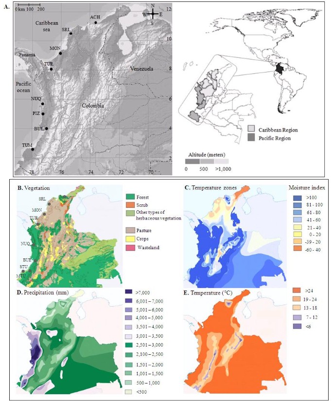 Population structure analyses and demographic history of the malaria vector  Anopheles albimanus from the Caribbean and the Pacific regions of Colombia  | Malaria Journal | Full Text