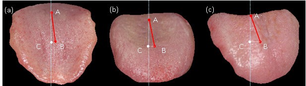 figure 8