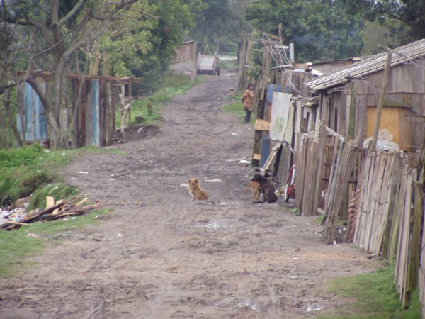 Inequalities in the prevalence of major depressive disorder in Brazilian  slum populations: a cross-sectional analysis, Epidemiology and Psychiatric  Sciences