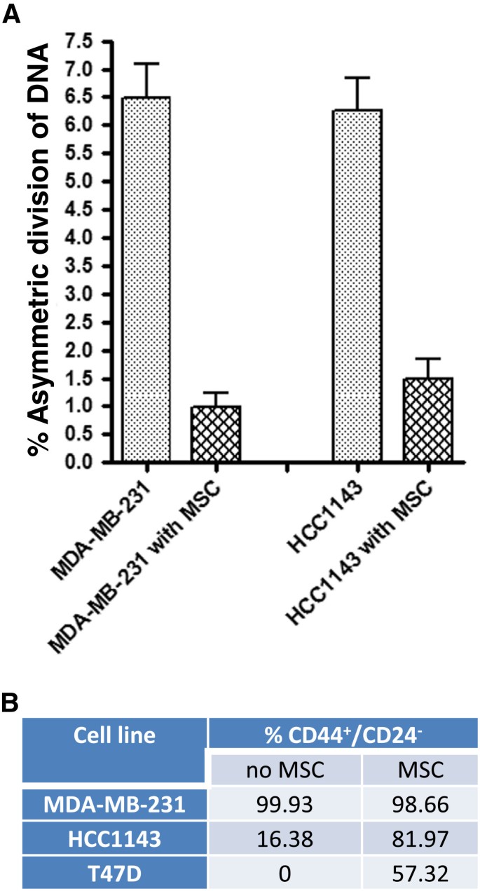 Asymmetric segregation of template DNA strands in basal-like human breast  cancer cell lines | Molecular Cancer, image size:685x1271