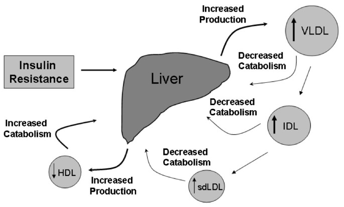 does diabetes cause hyperlipidemia