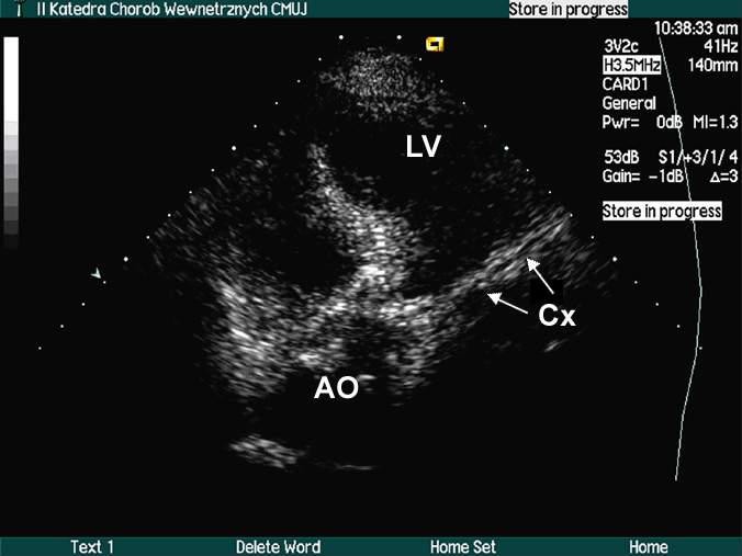 figure 28