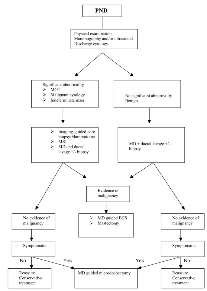 intraductal papilloma treatment guidelines