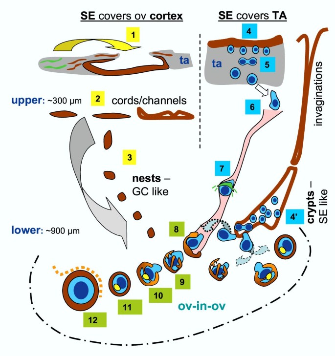 figure 16