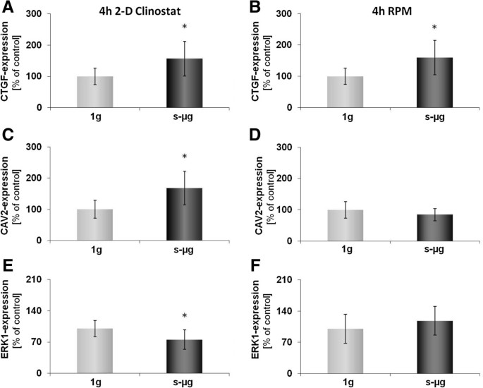 Spheroid Formation Of Human Thyroid Cancer Cells Under Simulated Microgravity A Possible Role Of Ctgf And Cav1 Springerlink