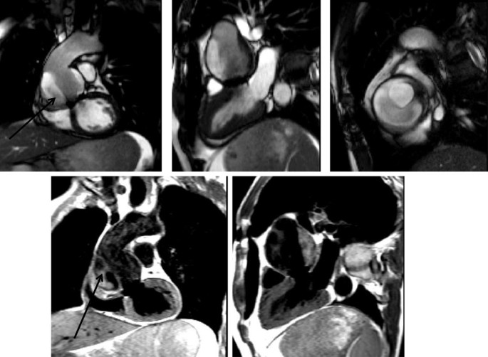 figure 24