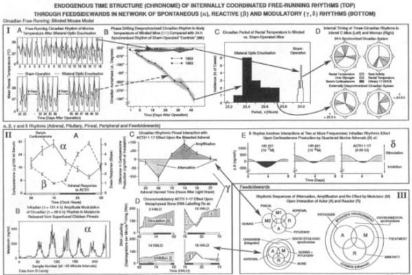 figure 19_2