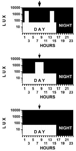 figure 2_19