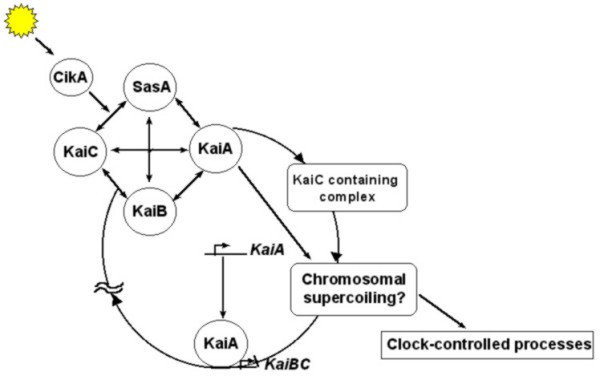 figure 2_15