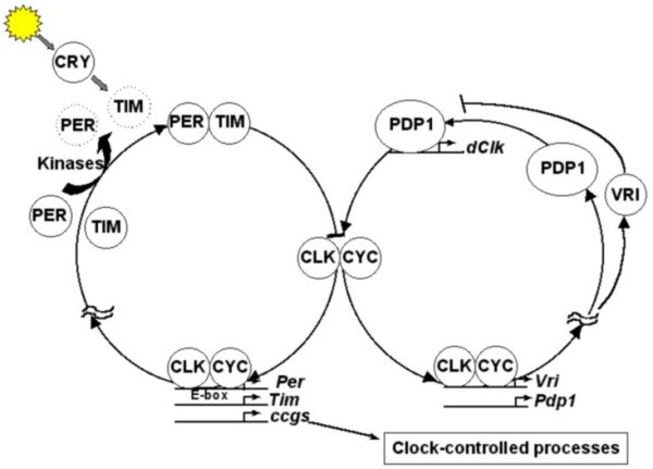 figure 4_15