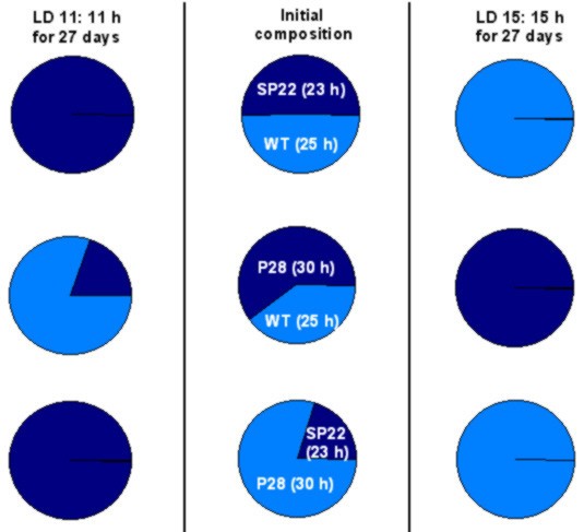 figure 6_15