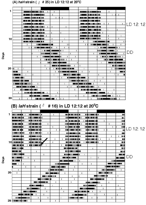 figure 4_40