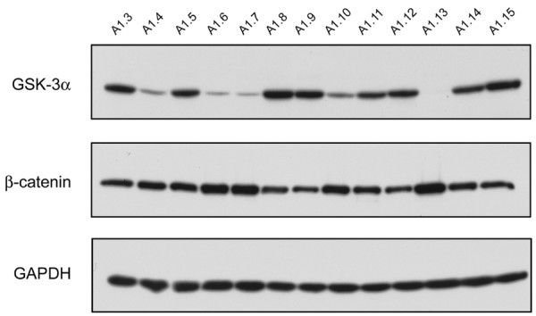 figure 2_42