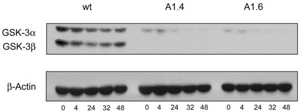 figure 4_42