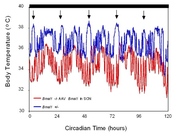 figure 2_65