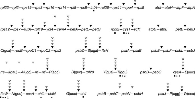  figure3