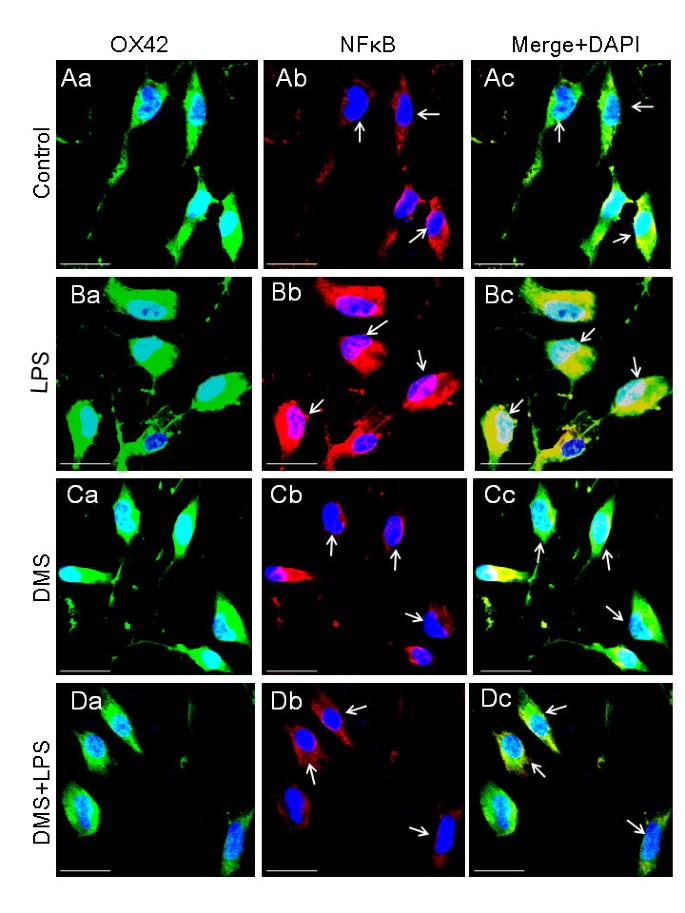 figure 17