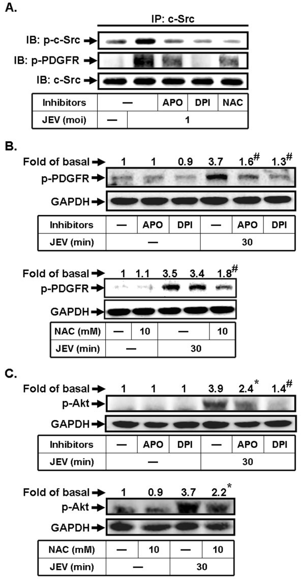 figure 7_517