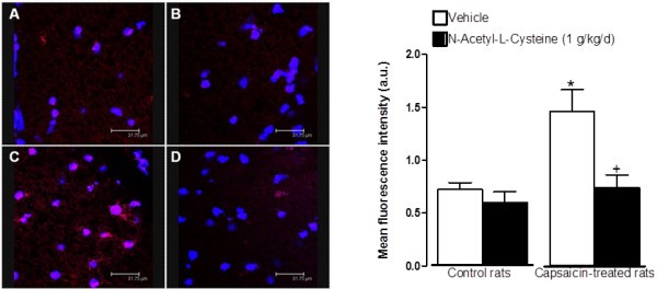 figure 11_498