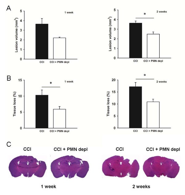 figure 6_512