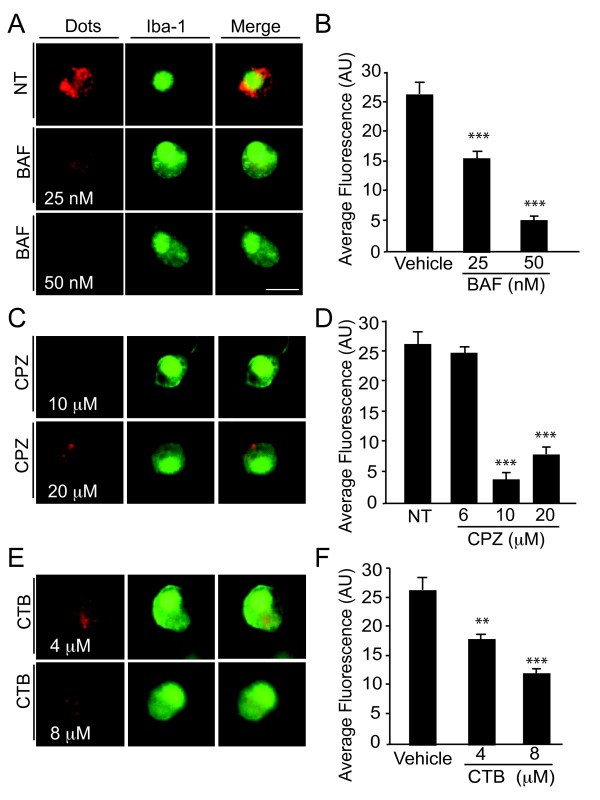 figure 3_514