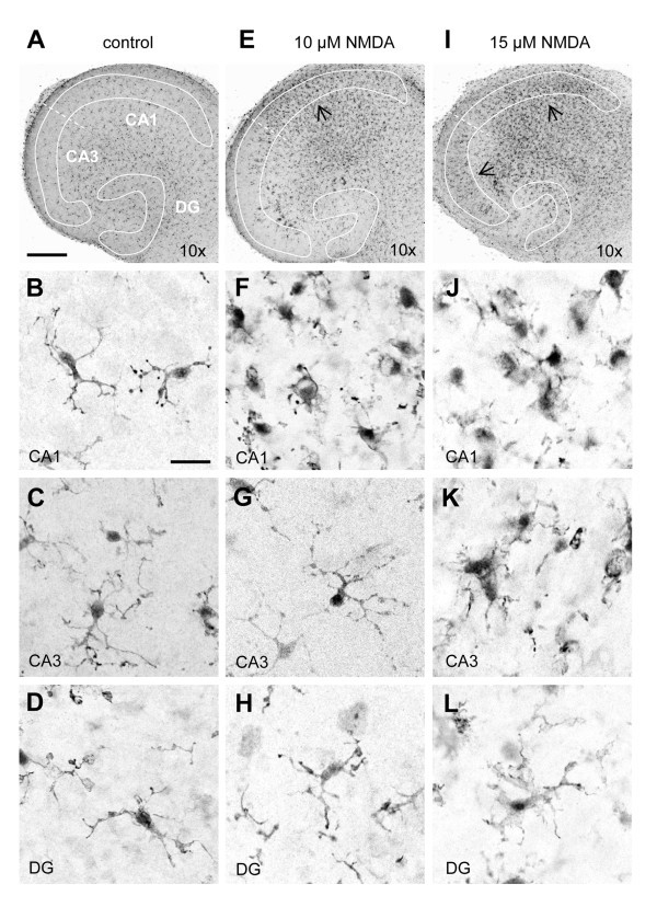 figure 2_515