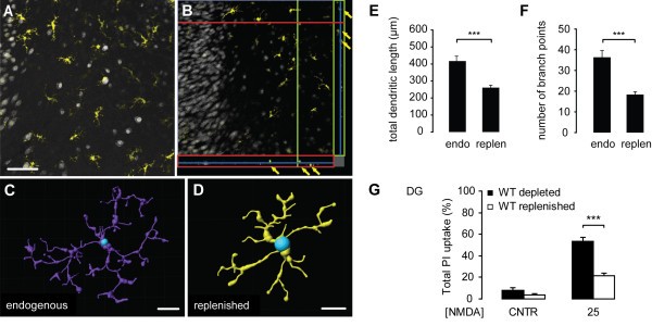 figure 6_515