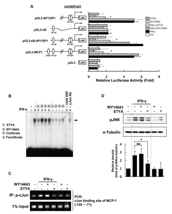 figure 2_530