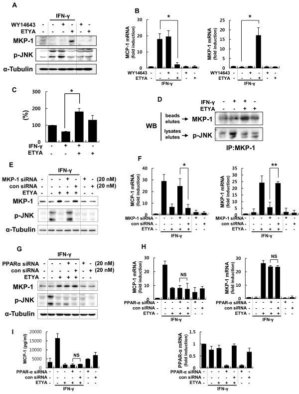 figure 3_530