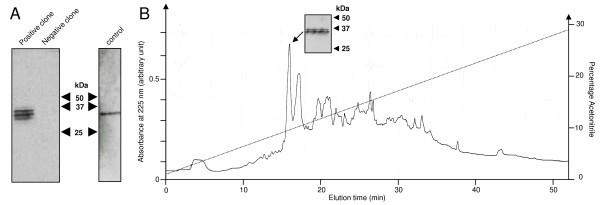 figure 1_519