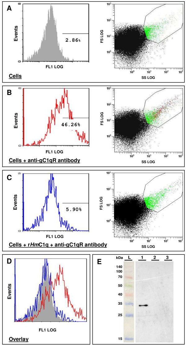 figure 5_519