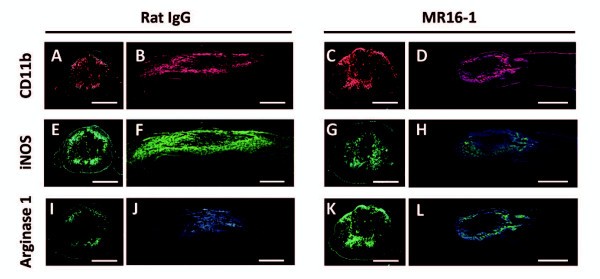 figure 3_533