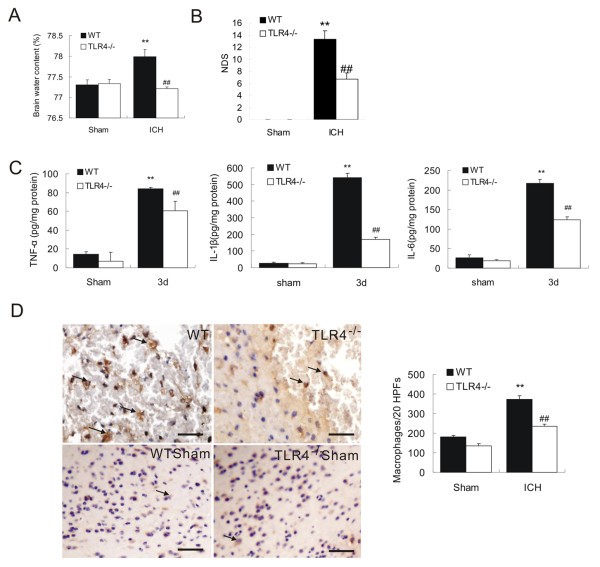 figure 2_548