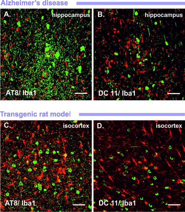 figure 1_544