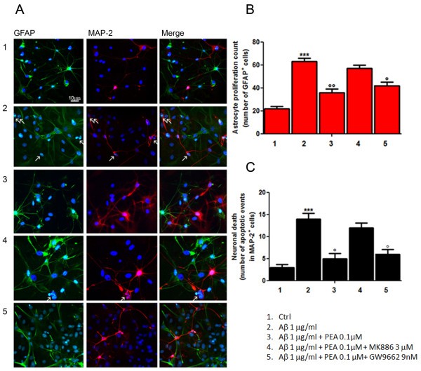 figure 1_537