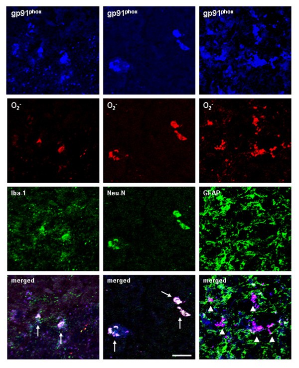 figure 9_491