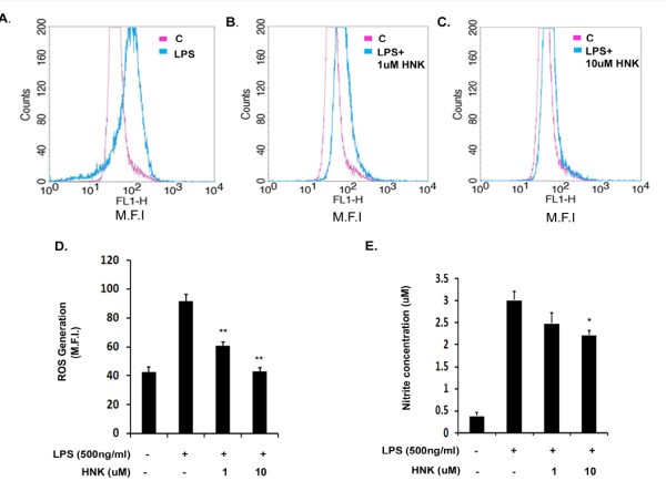 figure 2_541