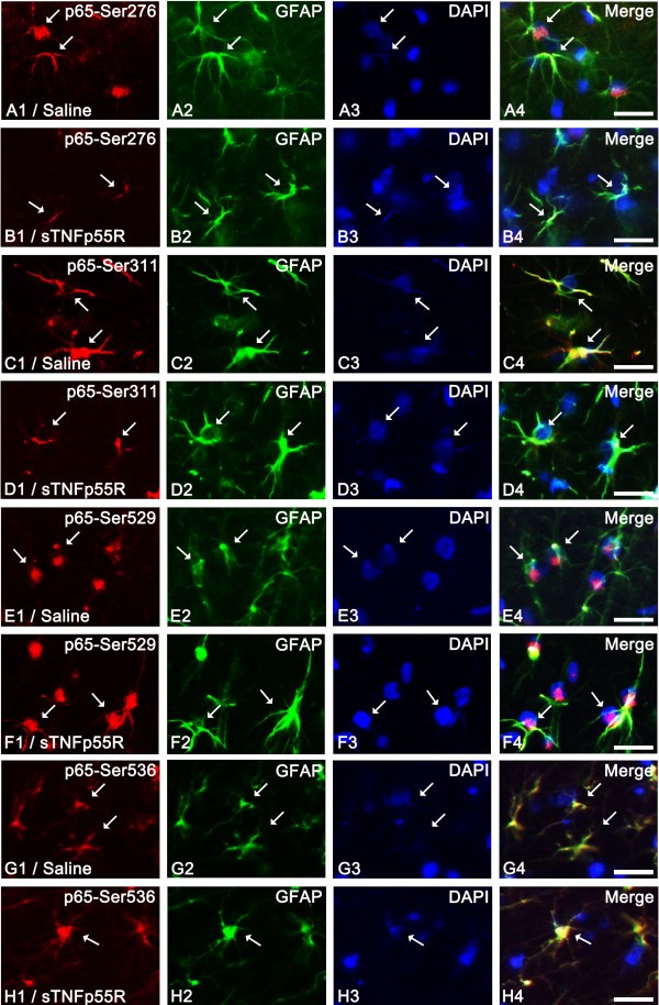 figure 3_535