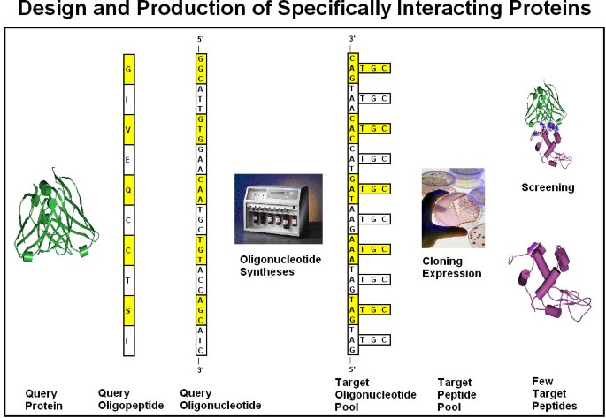 figure 33