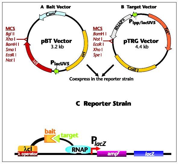 figure 37