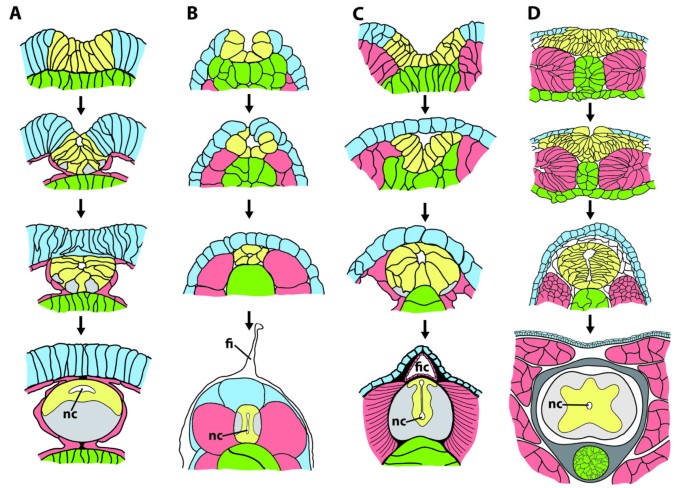 figure 15