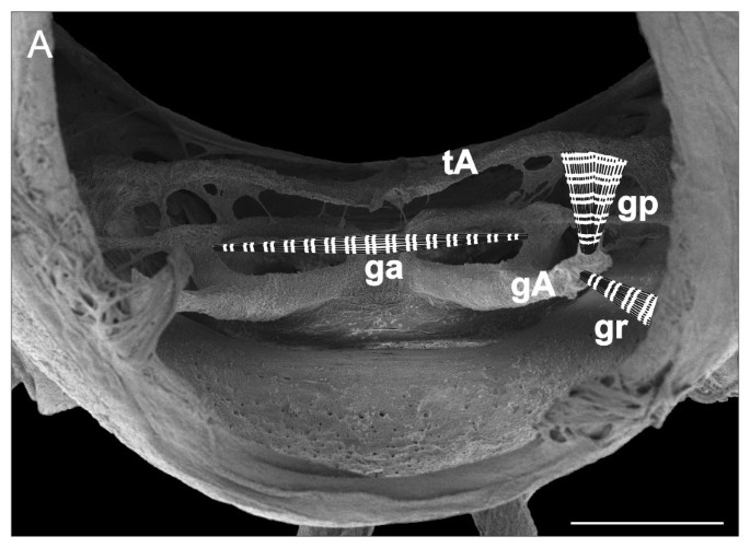 figure 15