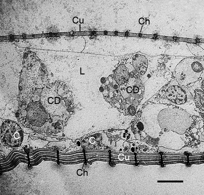 figure 16