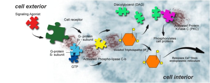 quantitative research about depression figure 3