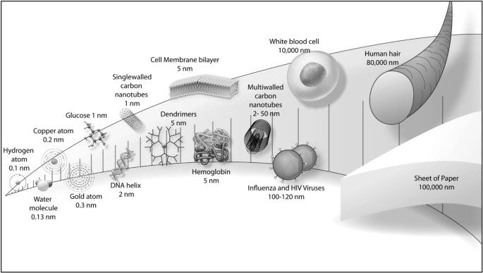 Evaluation of Exposure Concentrations Used in Assessing Manufactured  Nanomaterial Environmental Hazards: Are They Relevant?