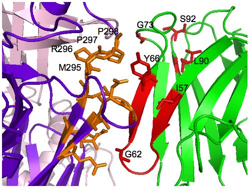 figure 6_18