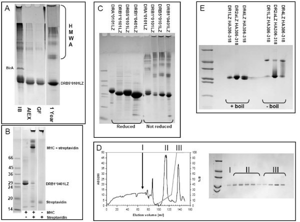 figure 1_29