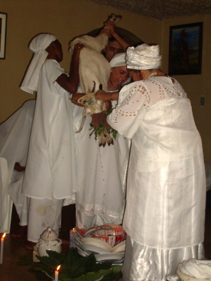 From Eshu to Obatala: animals used in sacrificial rituals at Candomblé  