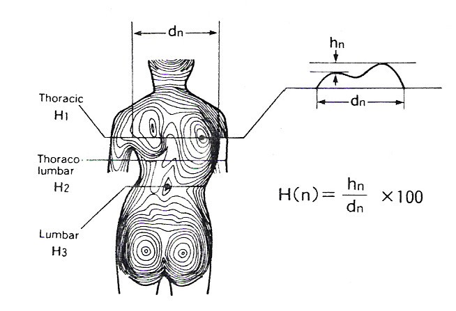 figure 28