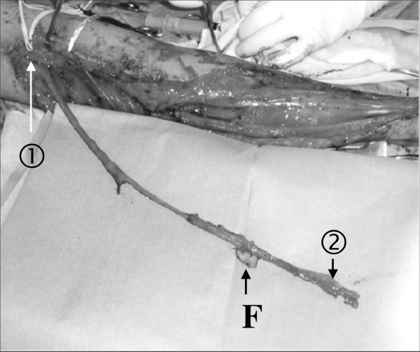 figure 2_27